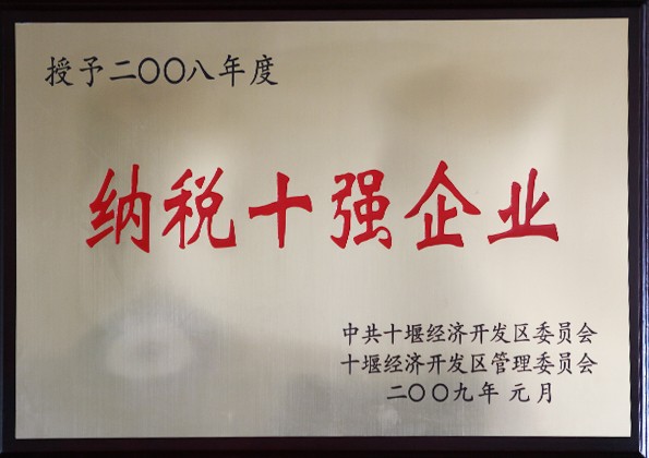 纳税十强企业